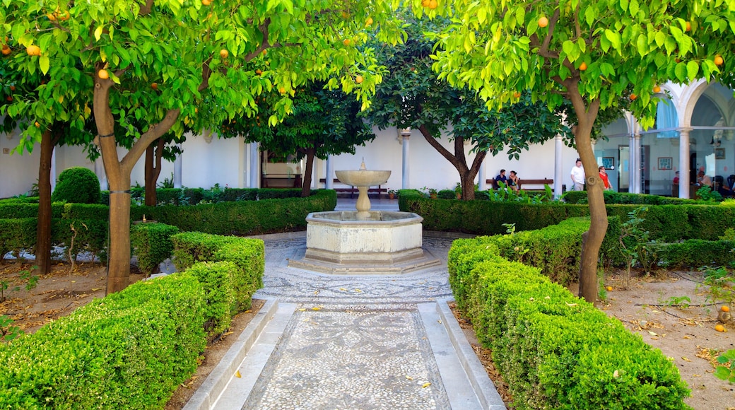 Monasterio de la Cartuja mostrando un jardín y una fuente