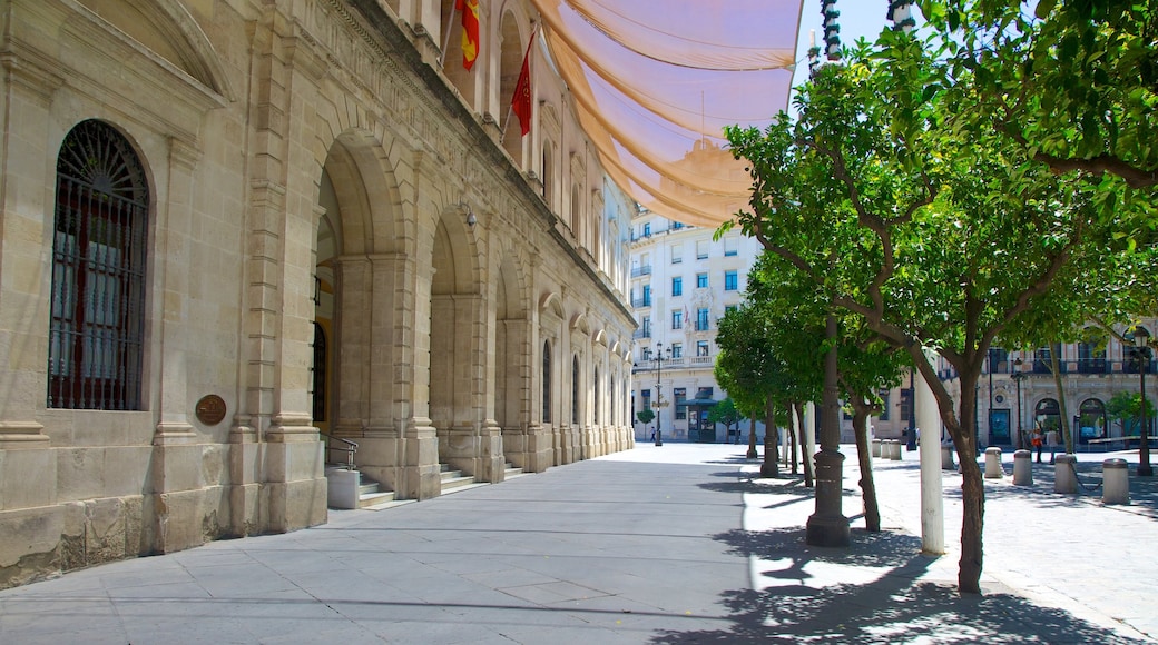 Plaza Nueva which includes street scenes, an administrative building and a city