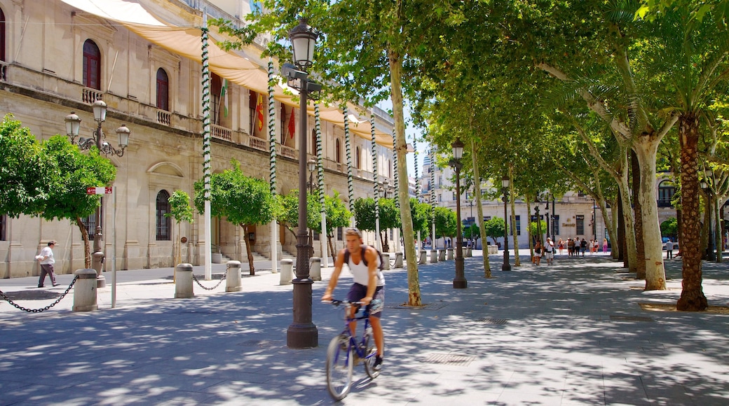 Plaza Nueva mostrando cenas de rua, uma cidade e ciclismo