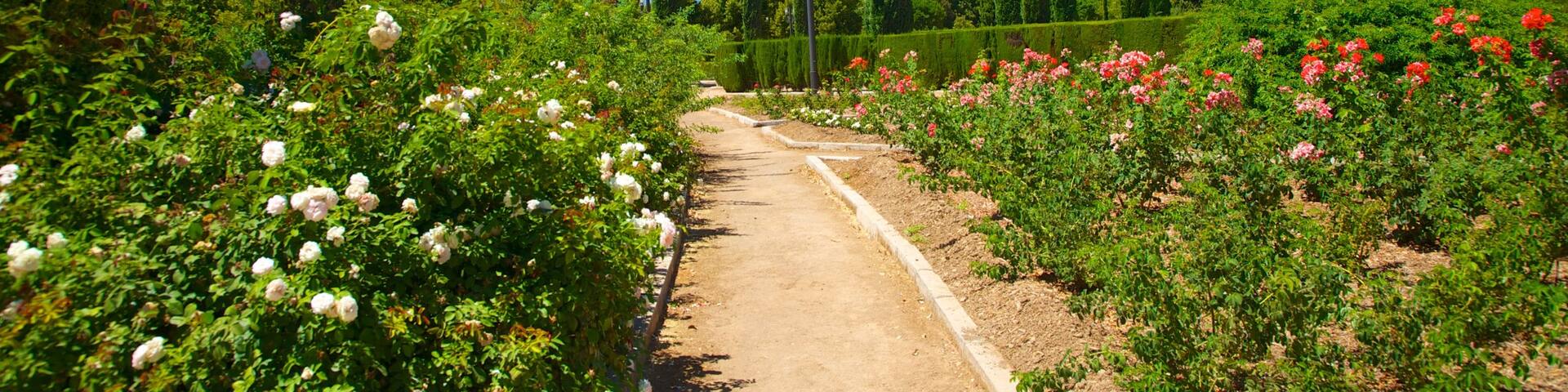 Parque Garcia Lorca which includes flowers and a garden