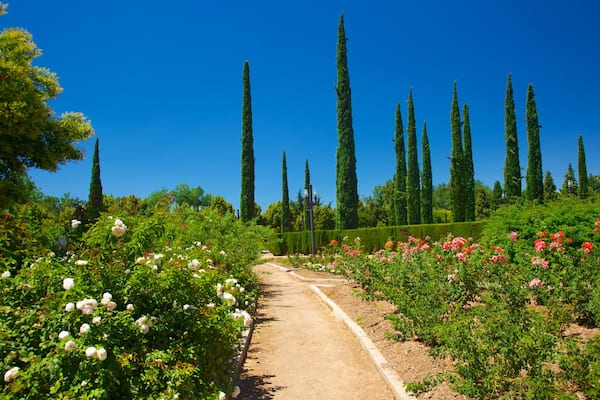 Parque García Lorca montrant parc et fleurs
