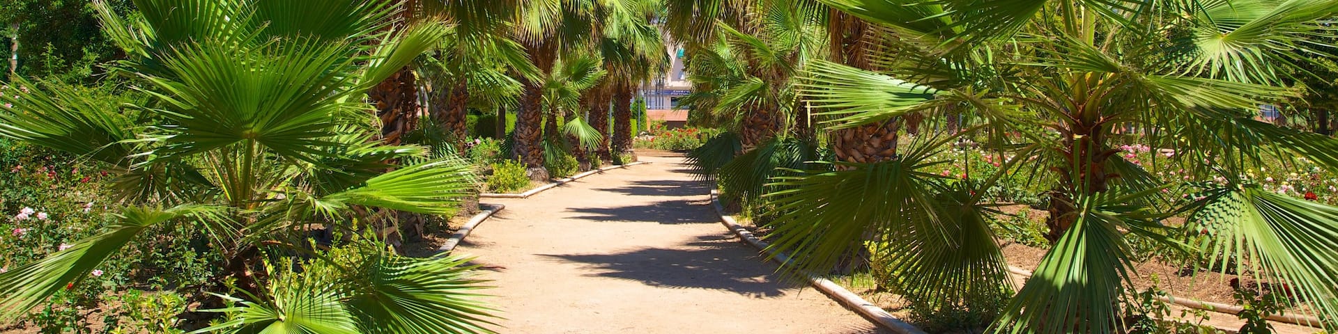 Parque Garcia Lorca mit einem Garten