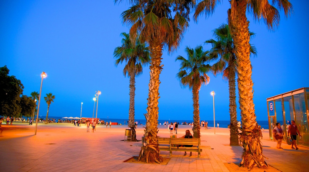 Playa de La Barceloneta ofreciendo vistas generales de la costa, escenas urbanas y escenas nocturnas