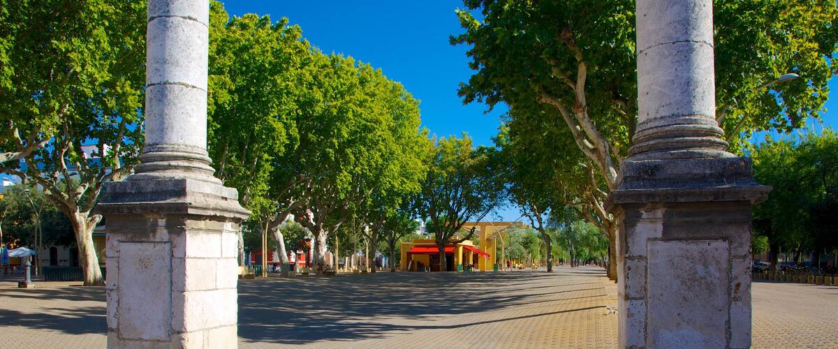 Plaza de la Alameda qui includes square ou place