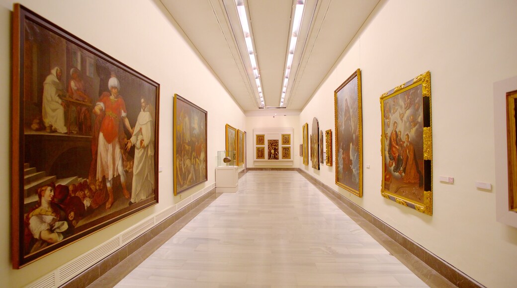 Museo delle Belle Arti che include arte e vista interna