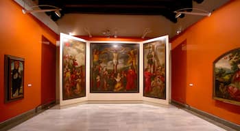 Museum voor Schone Kunsten toont interieur en kunst