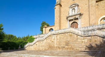 Certosa di Granada mostrando chiesa o cattedrale, architettura d\'epoca e religiosità