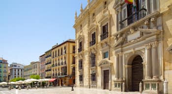 Plaza Nueva fasiliteter samt historisk arkitektur, administrativ bygning og by