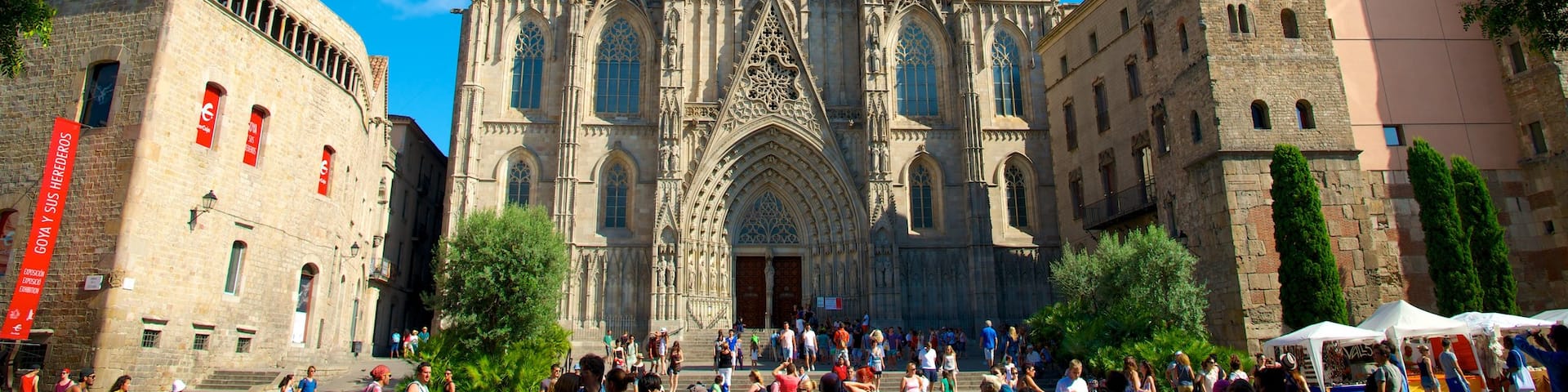 Barcelonas katedral presenterar en kyrka eller katedral, ett torg och religiösa element