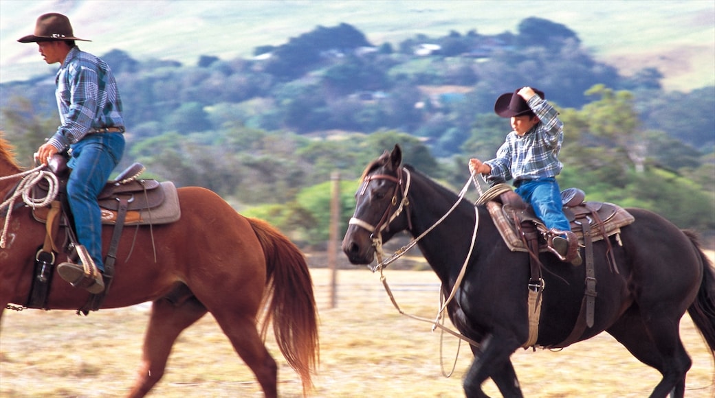 Foto proporcionada por Hawaii Visitors and Convention Bureau