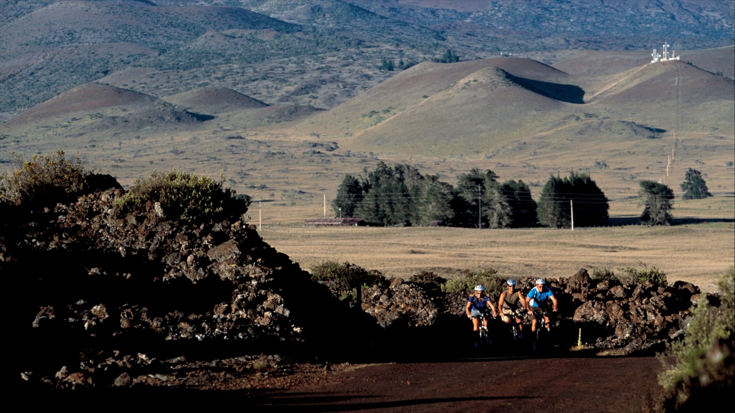 Waimea (Hawaii), Kamuela Vacation Rentals house rentals & more Vrbo