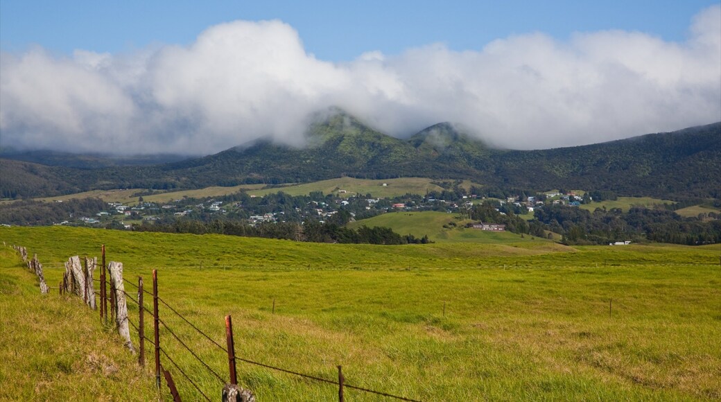 Billede leveret af Hawaii Visitors and Convention Bureau