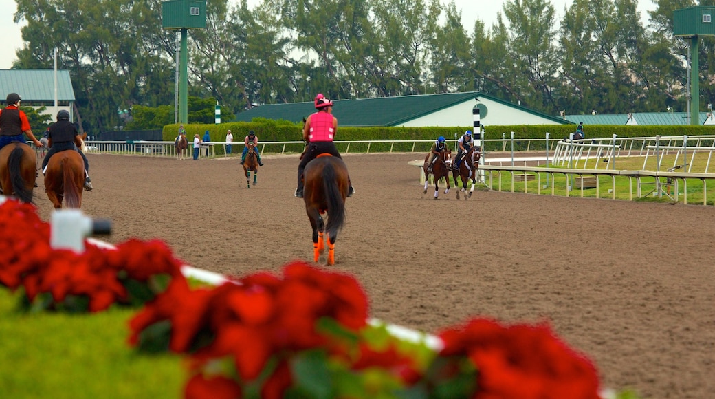 Gulfstream Park Racing and Casino showing horse riding