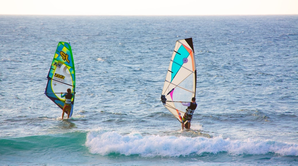 Hookipa Beach Park showing waves and windsurfing