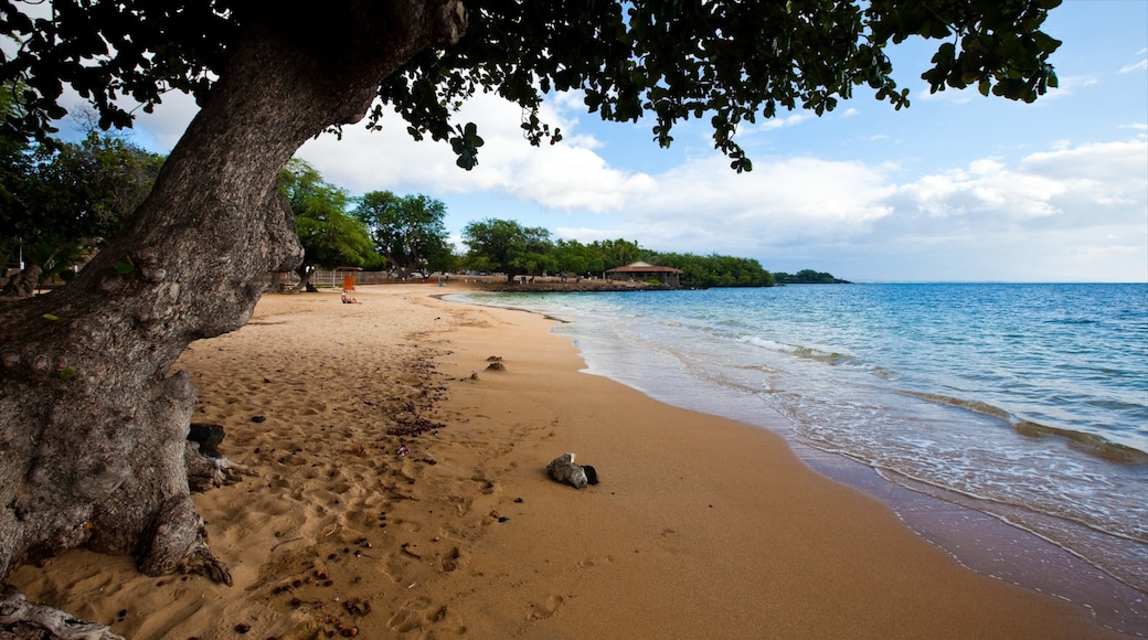 Foto disediakan oleh Hawaii Visitors and Convention Bureau