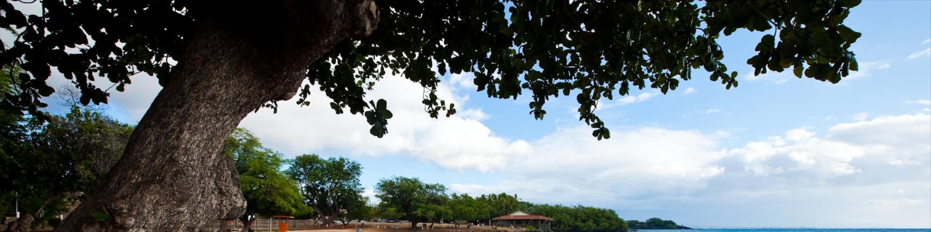 Kawaihae montrant plage de sable