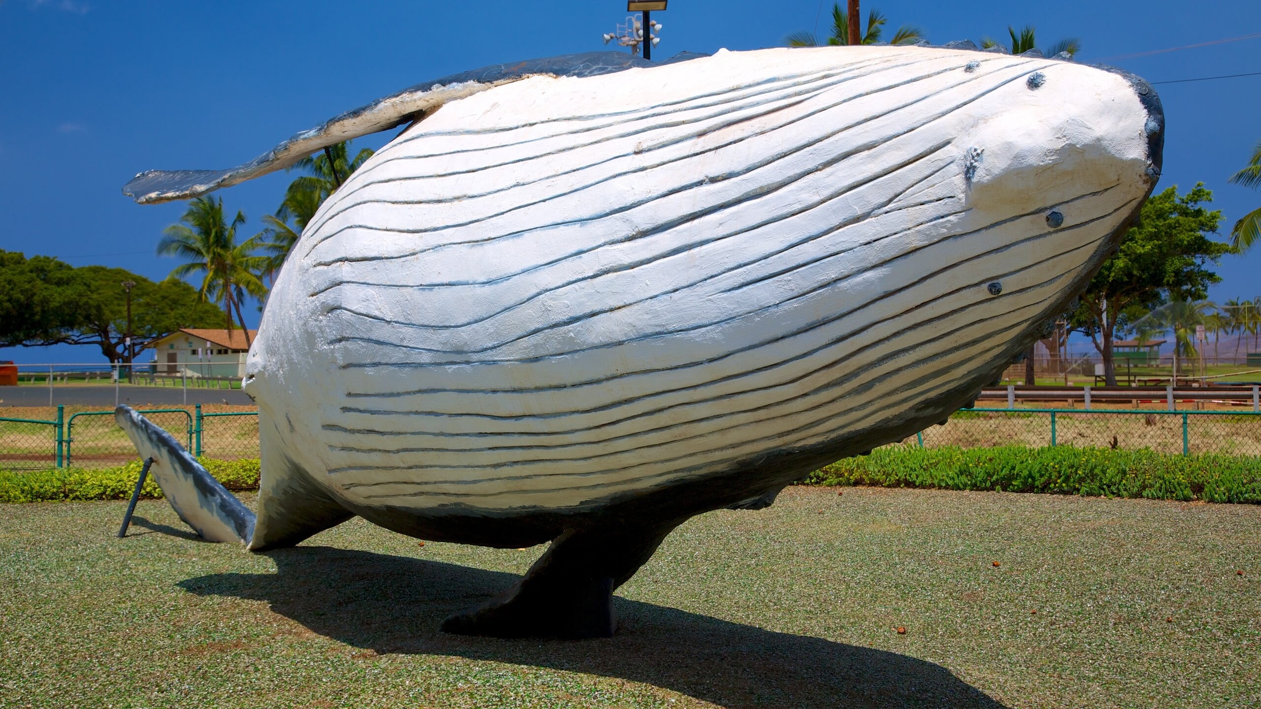 Kihei ofreciendo arte al aire libre