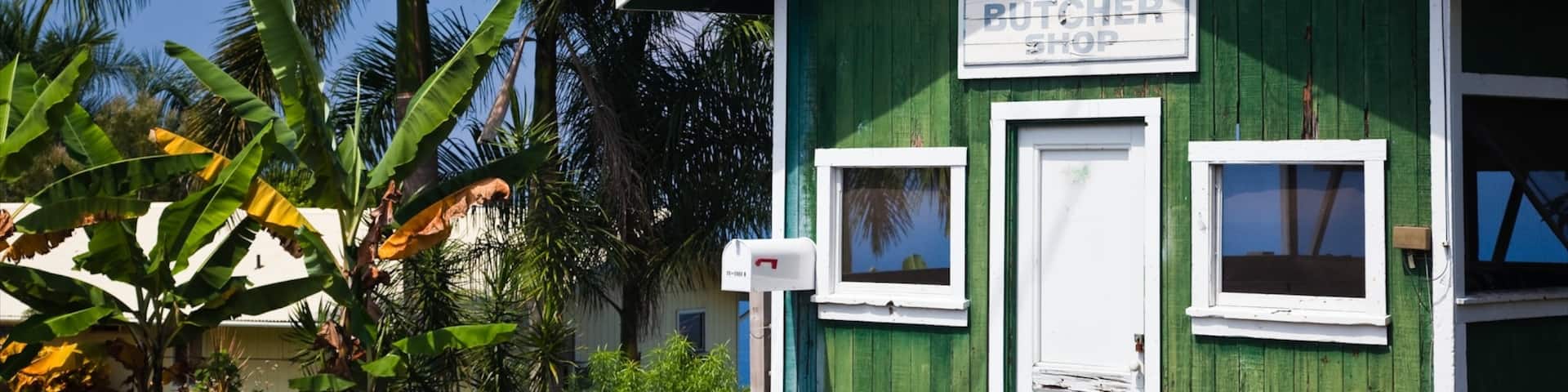 Holualoa qui includes scènes tropicales