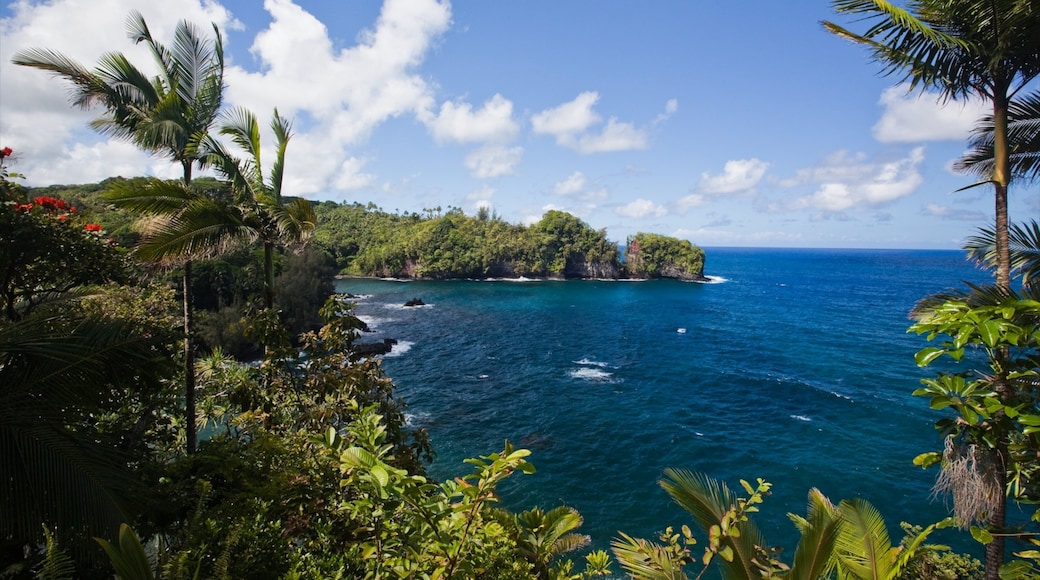 Foto proporcionada por Hawaii Visitors and Convention Bureau