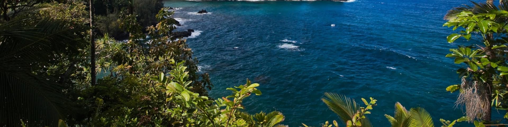 Hawaii which includes general coastal views, rugged coastline and tropical scenes