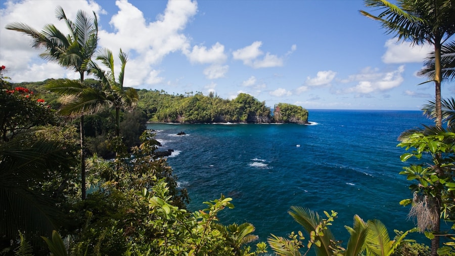 Hawaii which includes general coastal views, rugged coastline and tropical scenes