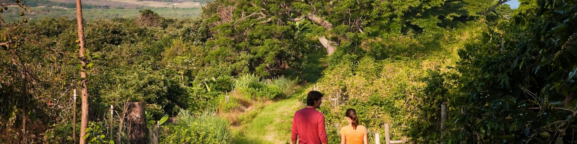 Kealakekua das einen ruhige Szenerie und Wandern oder Spazieren sowie Paar