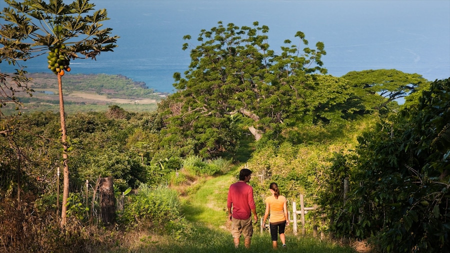 Kealakekua showing hiking or walking and tranquil scenes as well as a couple