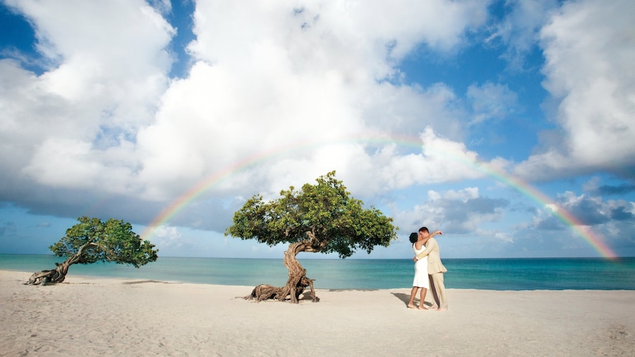 travel deals honeymoon