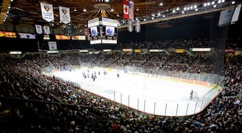 Pacific Coliseum which includes ice skating, a sporting event and interior views