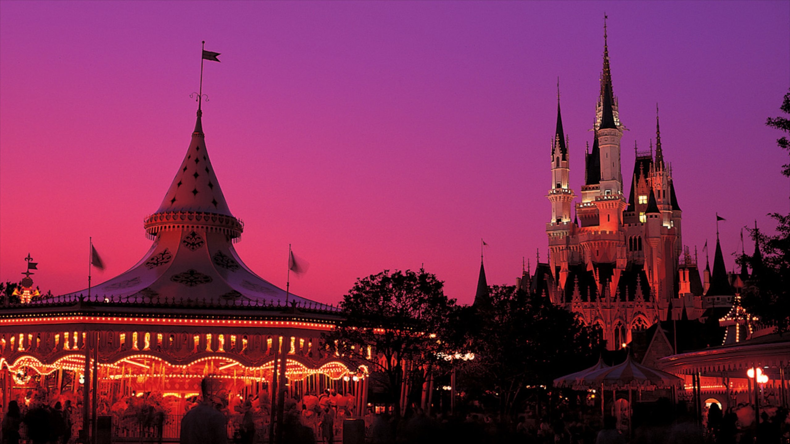 Disneyland® Tokyo which includes rides and night scenes