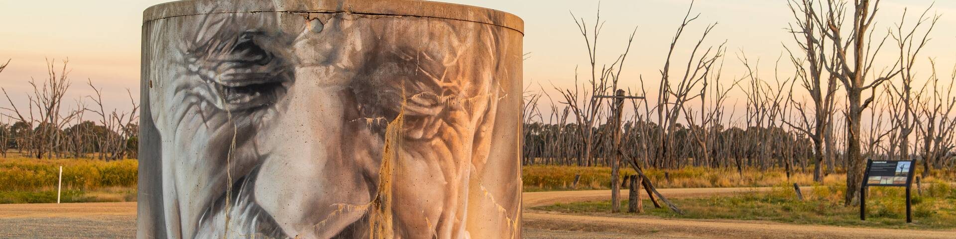 Benalla Rural City featuring tranquil scenes, outdoor art and a sunset