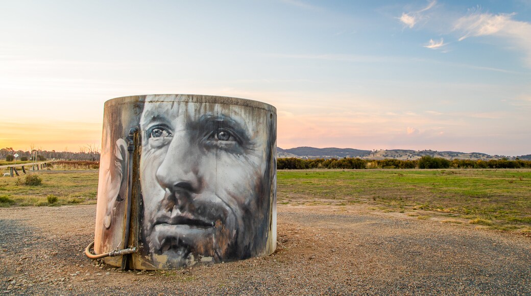 Winton Wetlands featuring a sunset, outdoor art and tranquil scenes