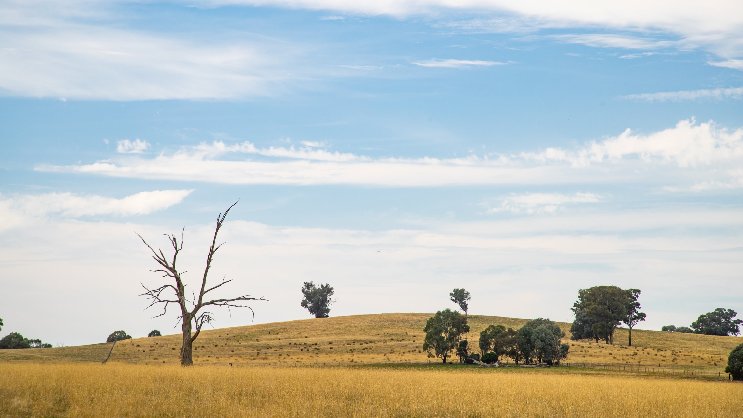 Winton, VIC, AU Vacation Rentals house rentals & more Vrbo