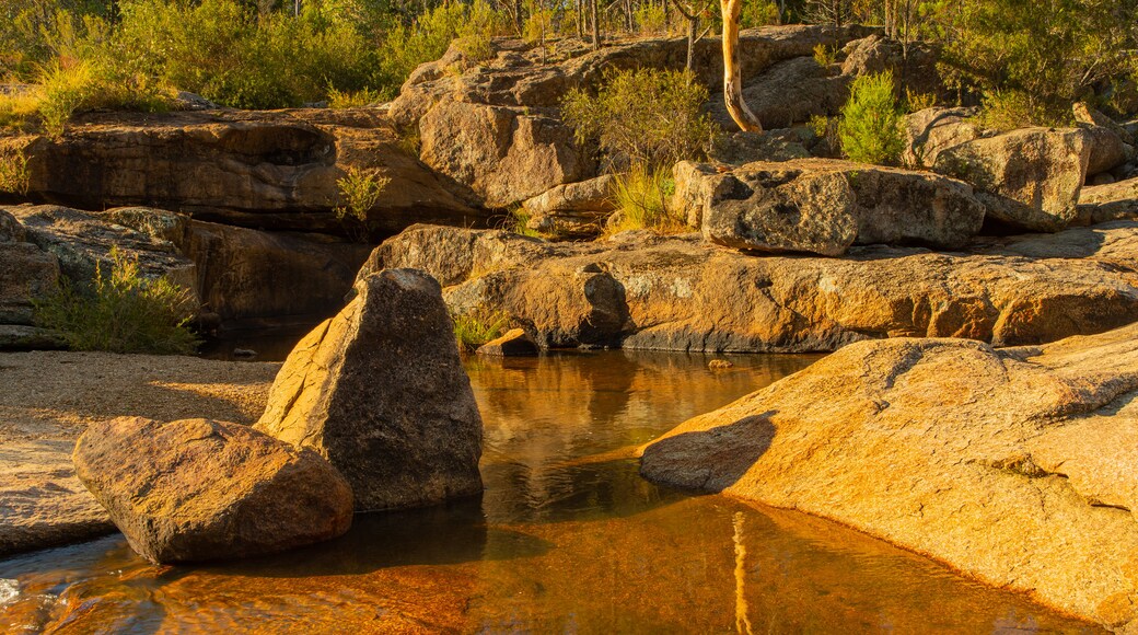 Woolshed Falls showing tranquil scenes and a river or creek