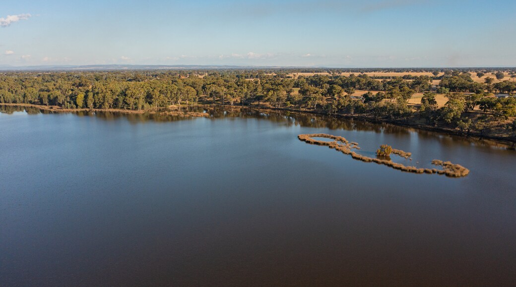 Moodemere Nature Conservation Reserve