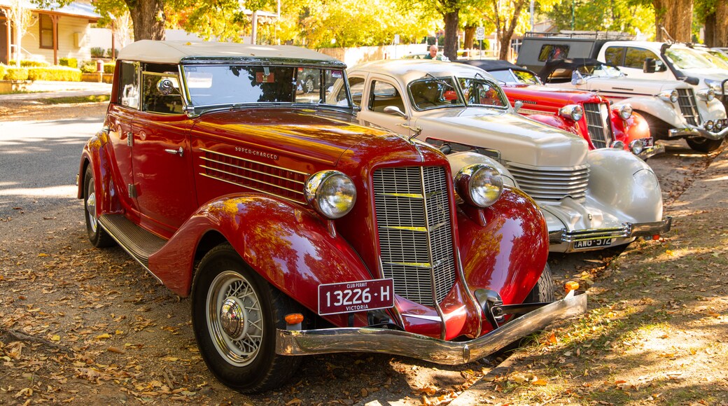 Yackandandah featuring heritage elements