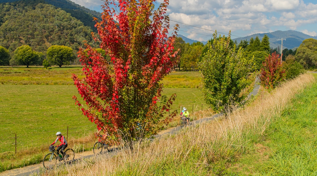 Harrietville