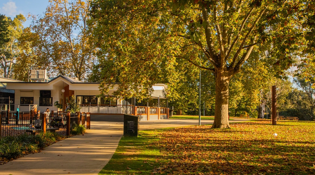 South Albury