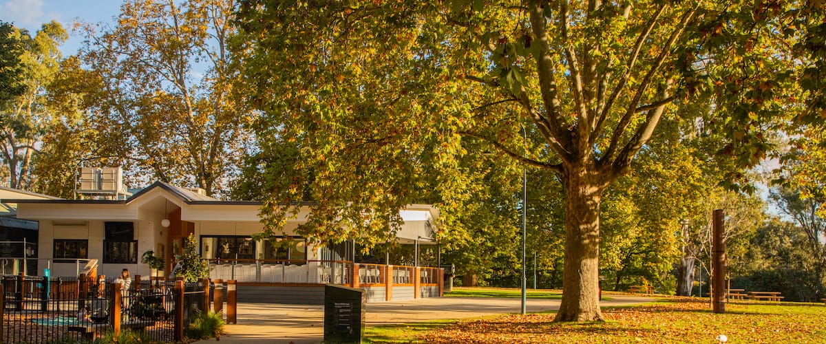 Albury showing a park and autumn leaves