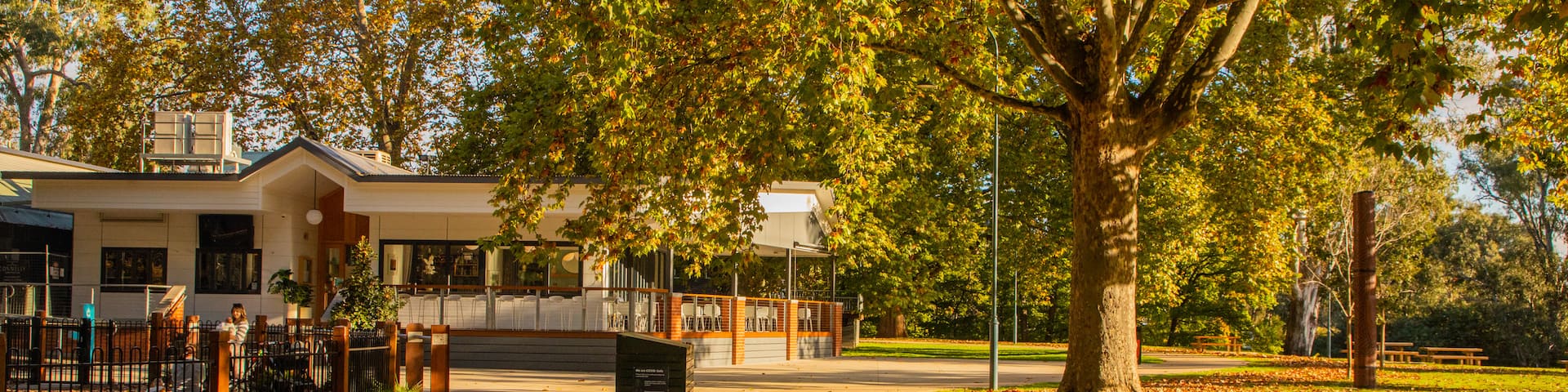 Albury showing a park and autumn leaves
