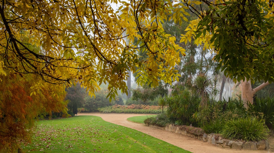 Jardins botaniques d'Albury
