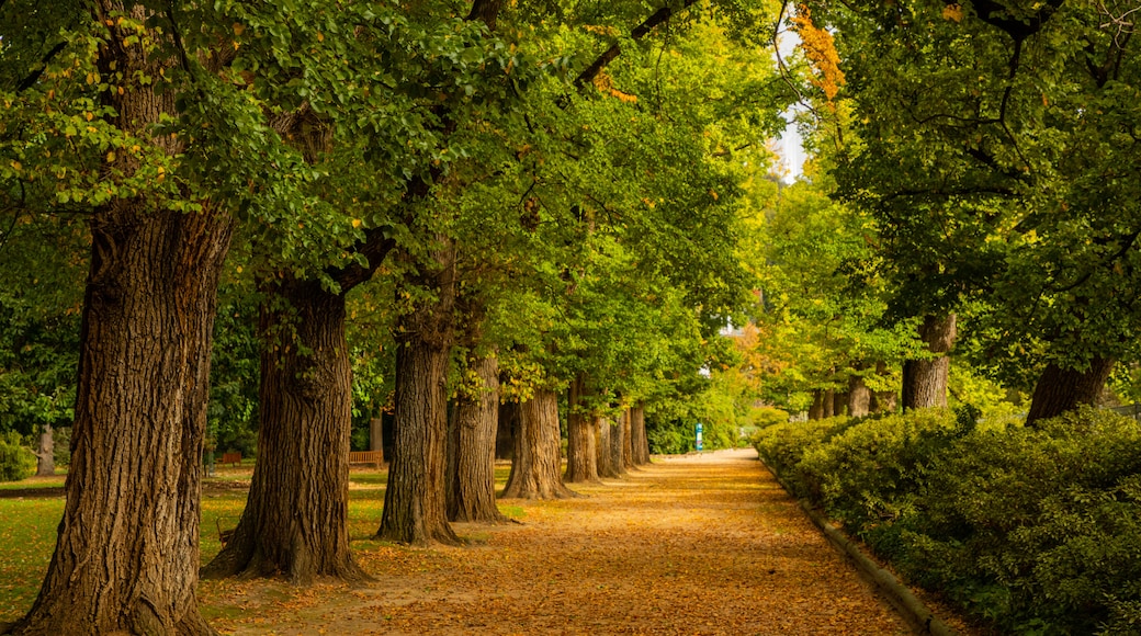 Jardins botaniques d'Albury