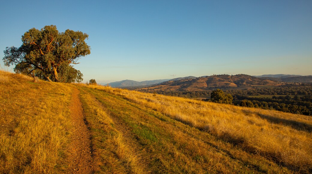 South Albury