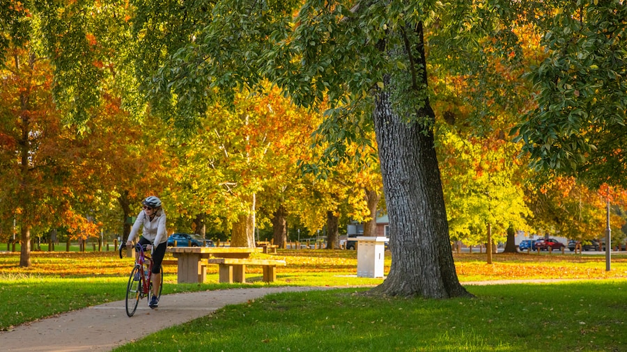 Noreuil Park