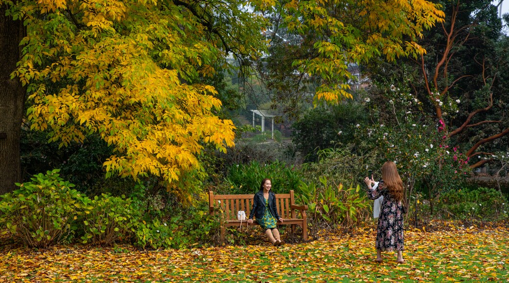 Jardins botaniques d'Albury
