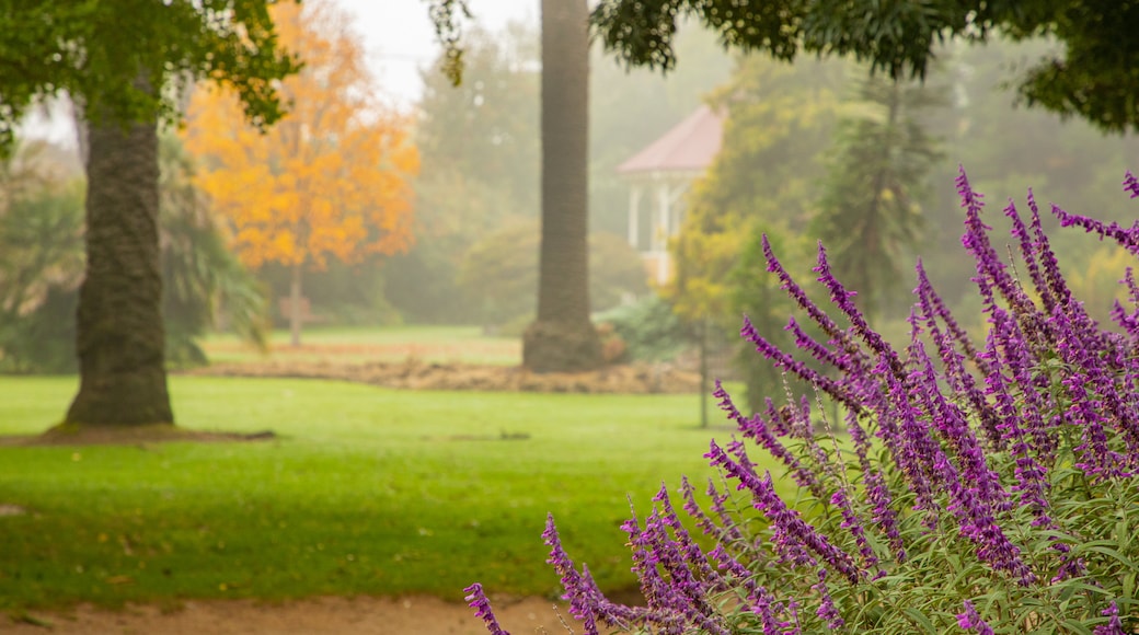 Albury Botanic Gardens