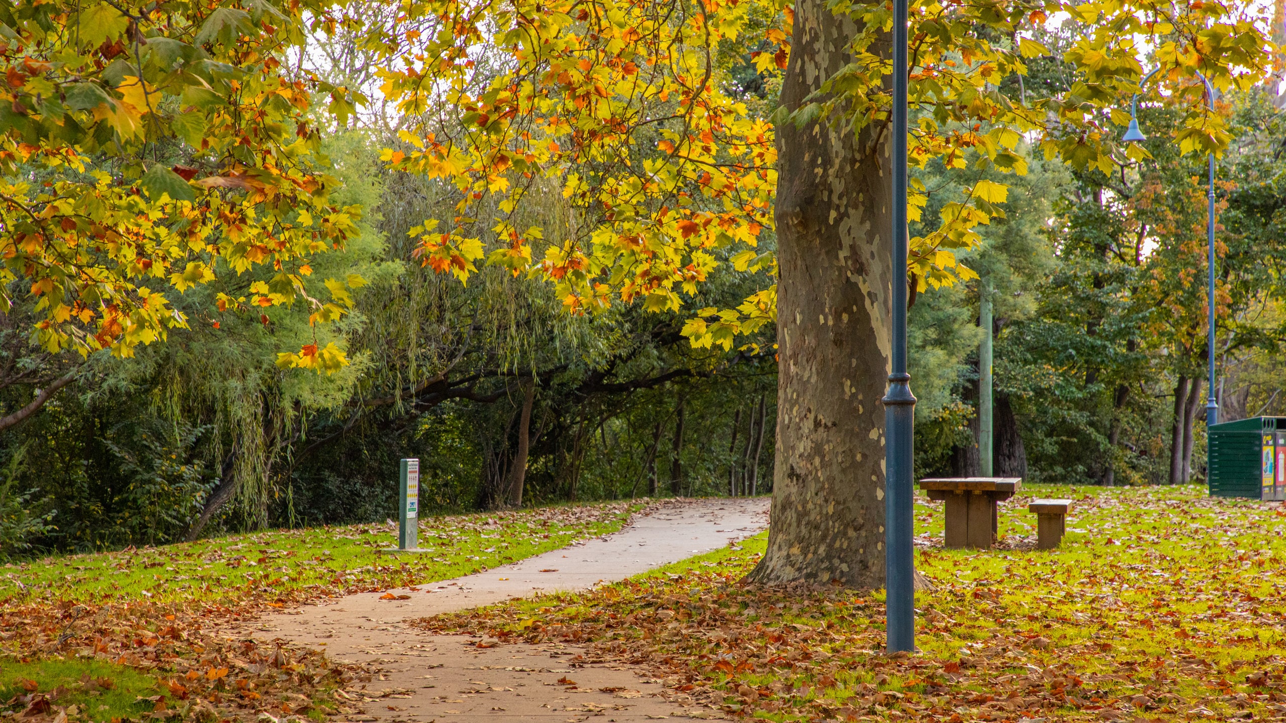 South Albury, NSW holiday from AU 140/night Stayz