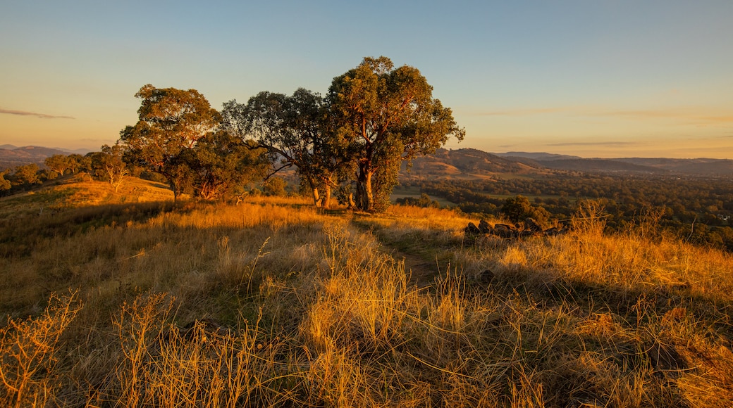 Hume and Hovell Walking Track Trailhead