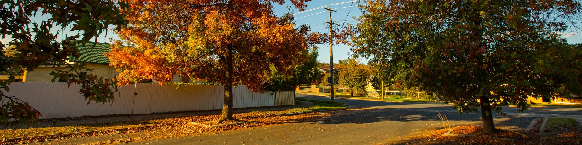 East Albury which includes fall colors