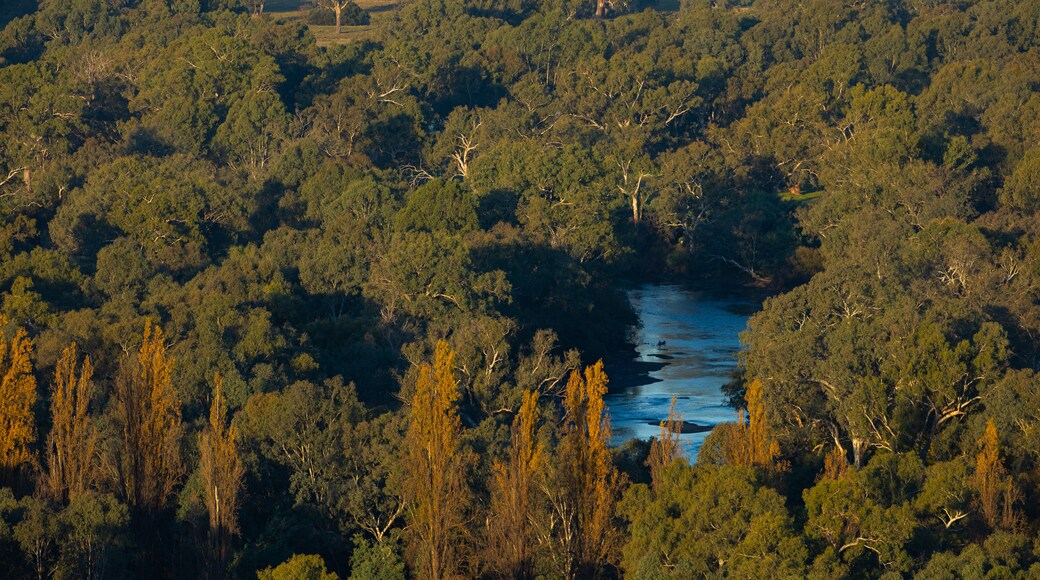 Hume and Hovell Walking Track Trailhead